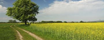 Hótel á svæðinu Südburgenland