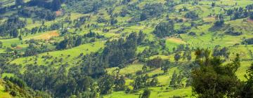 Cottages in Cundinamarca