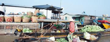 Hotels in Mekong Delta