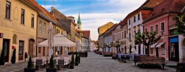 Hotel di Varaždin County