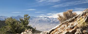 Хотели, които приемат домашни любимци, в района на Eastern Sierra