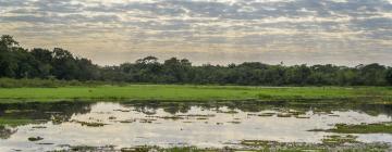 Hoteles en Mato Grosso del Sur