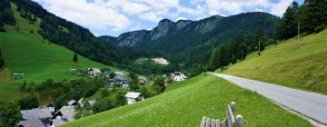 Hôtels dans cette région : Soriska Planina