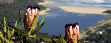 Campgrounds in Garden Route