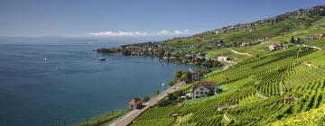 Hotels in Vaud