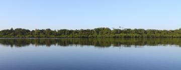 Lodges dans cette région : Amazonas