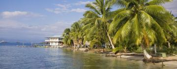 Hotels in Carenero Island