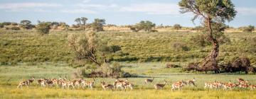 Hoteles en Postmasburg