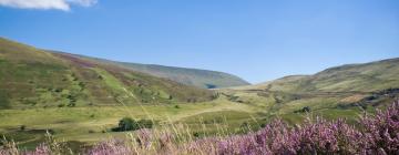 Hôtels dans cette région : Pays de Galles