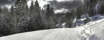 Heilsulindarhótel á svæðinu Feldberg