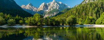 Albergues en Kranjska Gora 