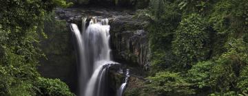 Hôtels dans cette région : Gianyar