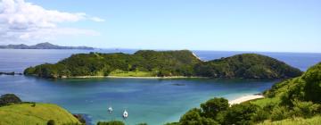 Pet-Friendly Hotels in North Island