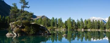 Ferienwohnungen in der Region Graubünden