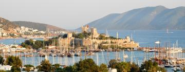 Hôtels dans cette région : Bodrum