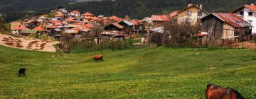 Hotely v regionu Rhodope Mountains