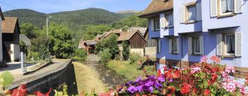 Hotels in Haut-Rhin