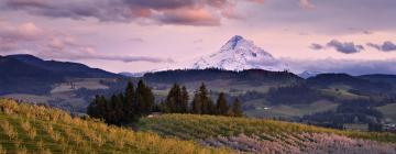 Cheap hotels in Oregon