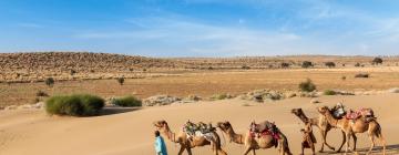 Rajasthan – hotely