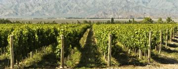 Chalets de montaña en Ruta del Vino de Mendoza