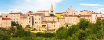 Apartments in Rovinj Countryside