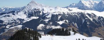 Апартаменты/квартиры в регионе Skicircus Saalbach Hinterglemm Leogang Fieberbrunn