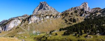 Apartments in French Pyrénées