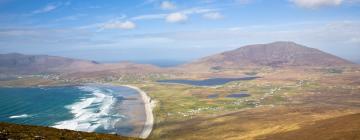 Pet-Friendly Hotels in Mayo