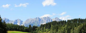 Bauernhöfe in der Region Kitzbüheler Alpen