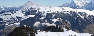 Chalets de montaña en Kitzbühel