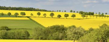 Hotéis em: Taunus