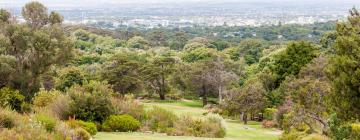 Cape Town Southern Suburbs: bed & breakfast
