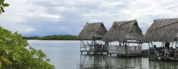 Hotels in der Region Bocas del Toro