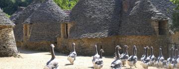 Ferienwohnungen in der Region Black Perigord