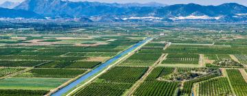 Apartments in Neretva River Delta