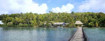 Hotels in Viti Levu