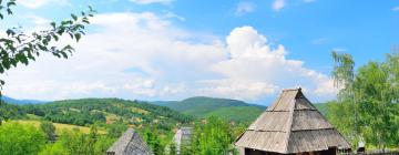 Hotels in Zlatibor Region