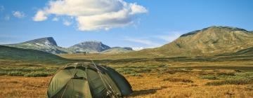 Hoteles en Dovrefjell