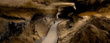 Viesnīcas reģionā Mammoth Cave National Park
