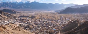 Hostales y pensiones en Leh Ladakh