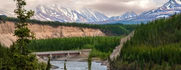 Hotely v regionu Denali National Park