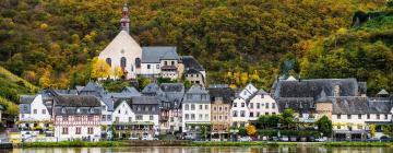 Hotely v regionu Pfalz