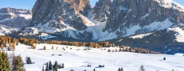 Apartments in Alpe di Siusi