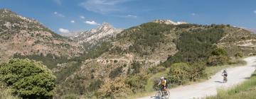 Chalets dans cette région : Sierra Nevada