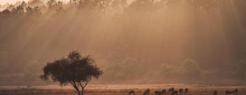 Kanha National Park otelleri