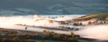 Cabins in Yarra Valley