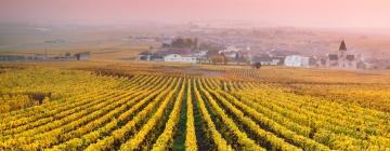 Hôtels dans cette région : Champagne