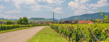 Hoteles en Ruta de vinos de Alsacia