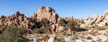 Moteluri în Joshua Tree National Park