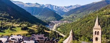 Готелі, де можна проживати з хатніми тваринами в регіоні Val d'Aran